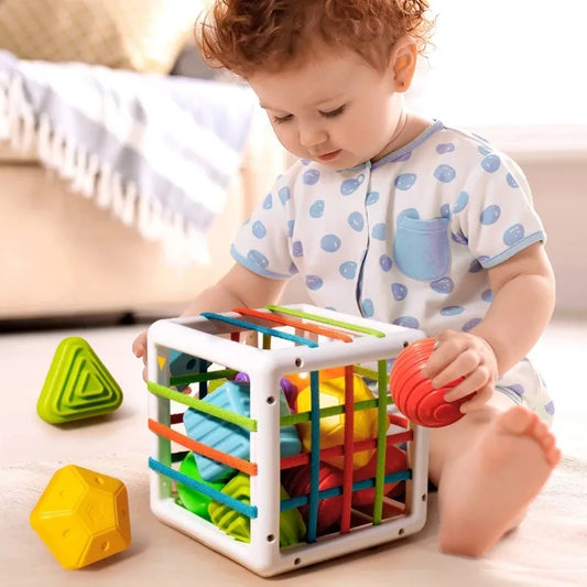 Montessori Baby Shape Sorter - Highly Desirable